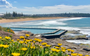 south curl curl rockpool sydney